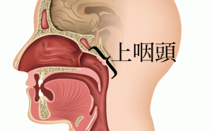 炎 上 ツボ 咽頭