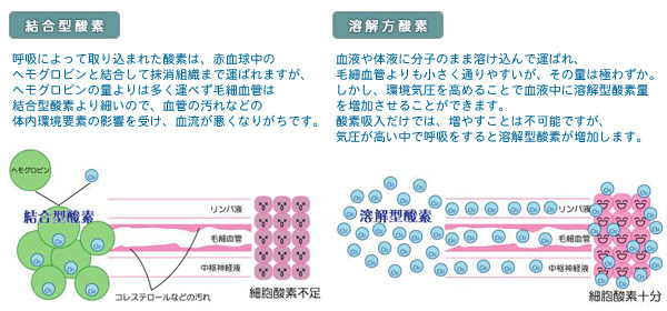 『酸素カプセル』と通常呼吸の違い